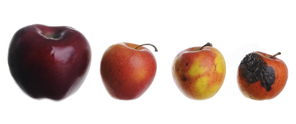 Apples arranged in row