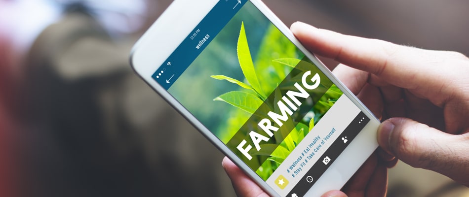 Grasping the Universe of Digital Farming Solutions