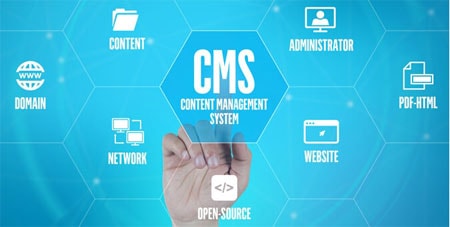 Custom CMS software